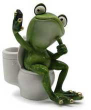 Frog Pascal, making selfie at toilet