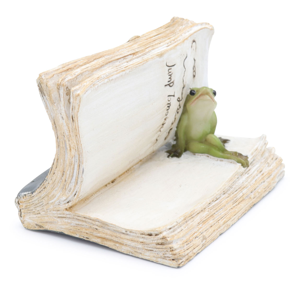 Book with frog Erwin, 